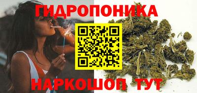 apvp Гусь-Хрустальный