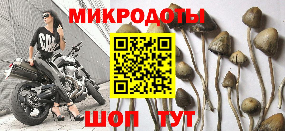 Псилоцибиновые грибы Cubensis  хочу наркоту  Мурманск  Вход с VPN  Псилоцибиновые грибы Psilocybine cubensis 